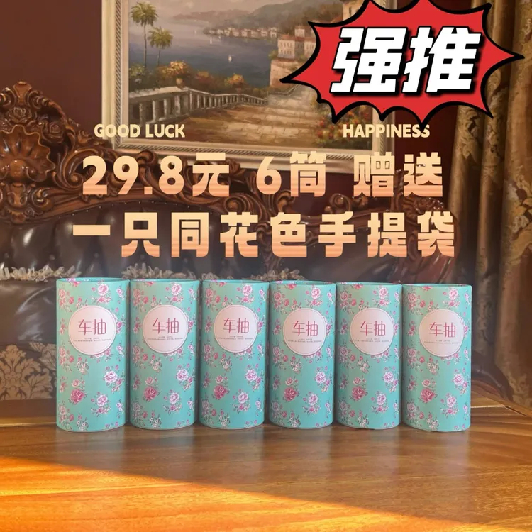 车抽6筒/高档车载专用抽纸圆筒抽纸礼品可爱欧式碎花1号