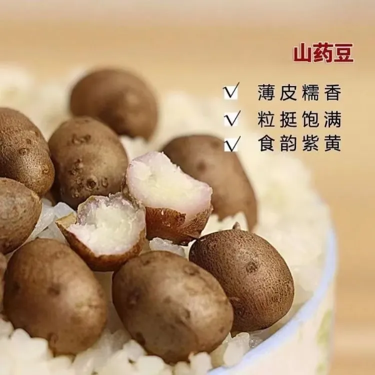 果王手捡大果大山药豆5斤蒸煮炒炖糖霜煮粥煲汤糖葫芦产地直销