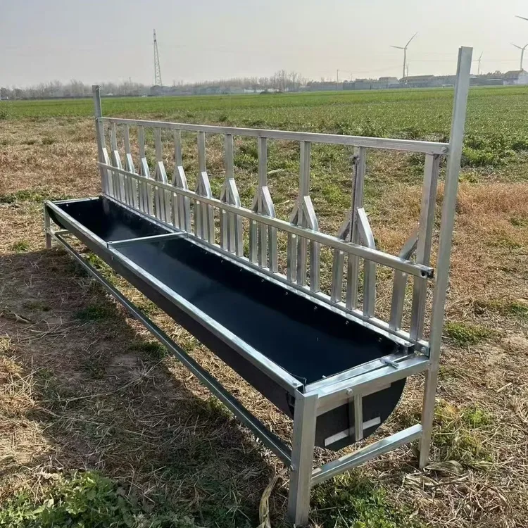 新款羊劲夹定位翻转羊镀锌方管制作一羊一位吃料不抢食不打架