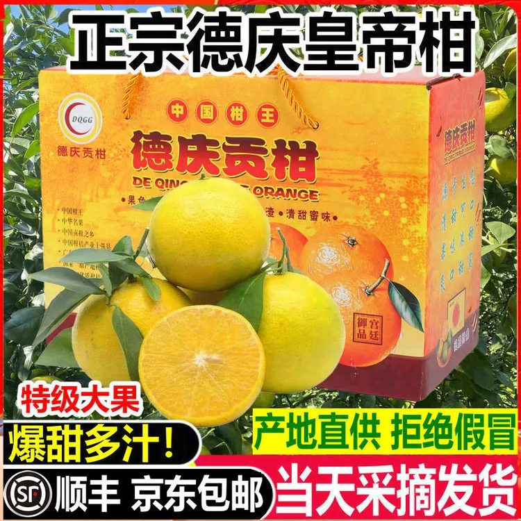 顺丰正宗广东德庆皇帝柑新鲜现摘贡柑橘桔子当季新鲜水果整箱