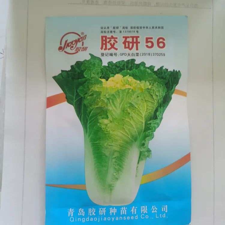 小杂56小白菜小北口白菜