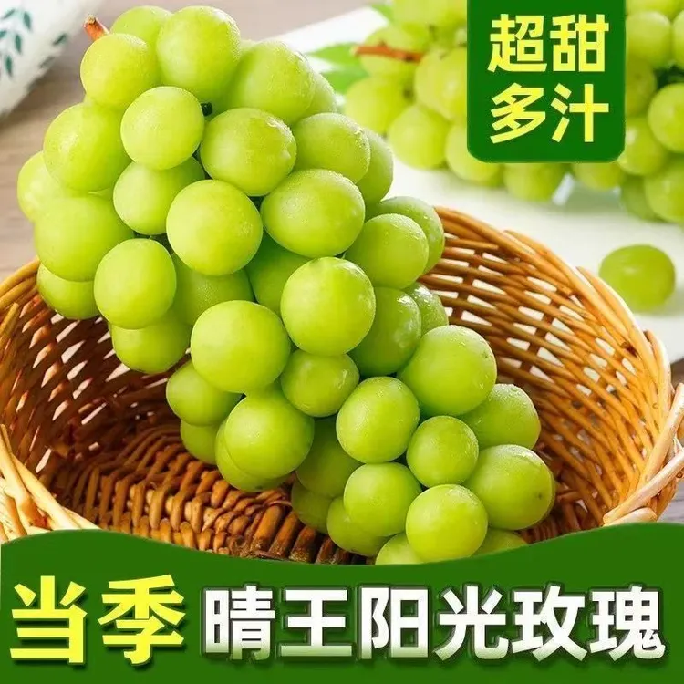 顺丰京东陕西阳光玫瑰葡萄青提葡萄孕妇时令水果清甜爽口现摘现发