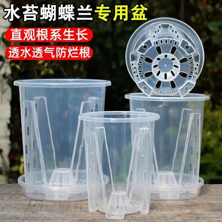 透气青山控根盆蝴蝶兰花专用花盆塑料花盆兰科透明加厚花盆家用