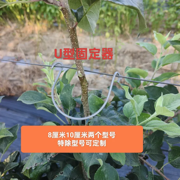 U型固定器防止小树体倒扶半圆U型卡钢丝固定卡新建果园厂家批发