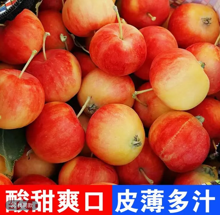 东北沙果 黄太平 黄海棠 当季海棠果 新鲜采摘新鲜发货 