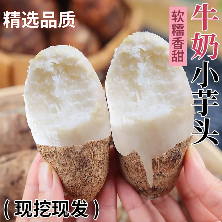 【农家自种】云南牛奶芋头小香芋新鲜毛芋头现挖奶油艿软糯香甜蔬菜