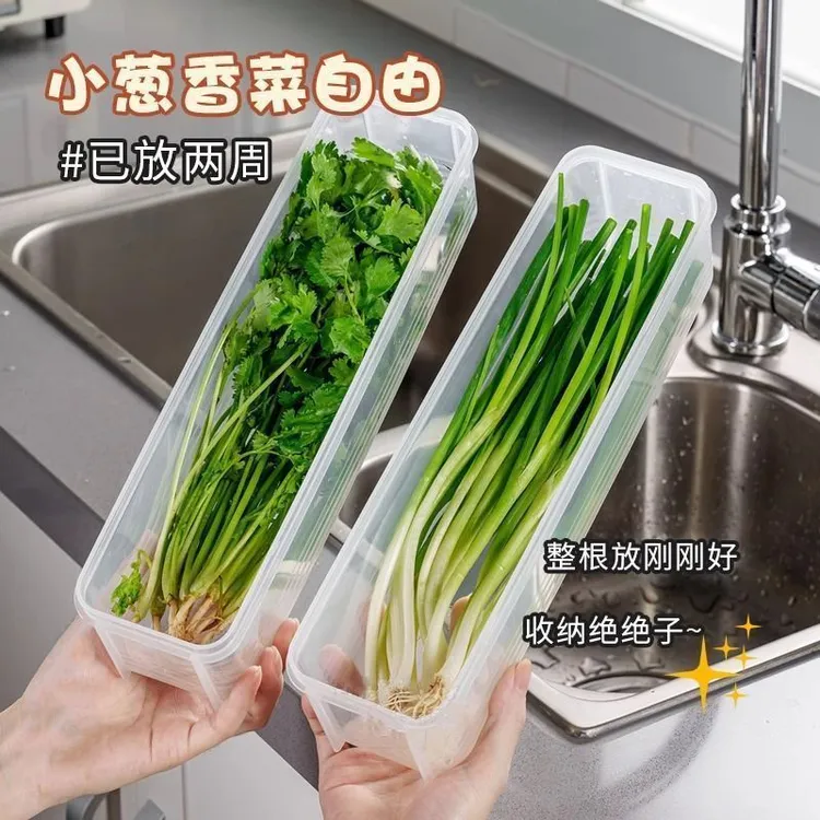 香菜盒小葱收纳盒冰箱整根保鲜神器加厚面条盒鸡蛋备菜密封保鲜盒