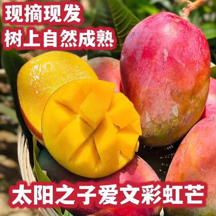 【产地直发】攀枝花爱文彩虹芒3/9斤整箱 新鲜采摘水果香甜多汁大果