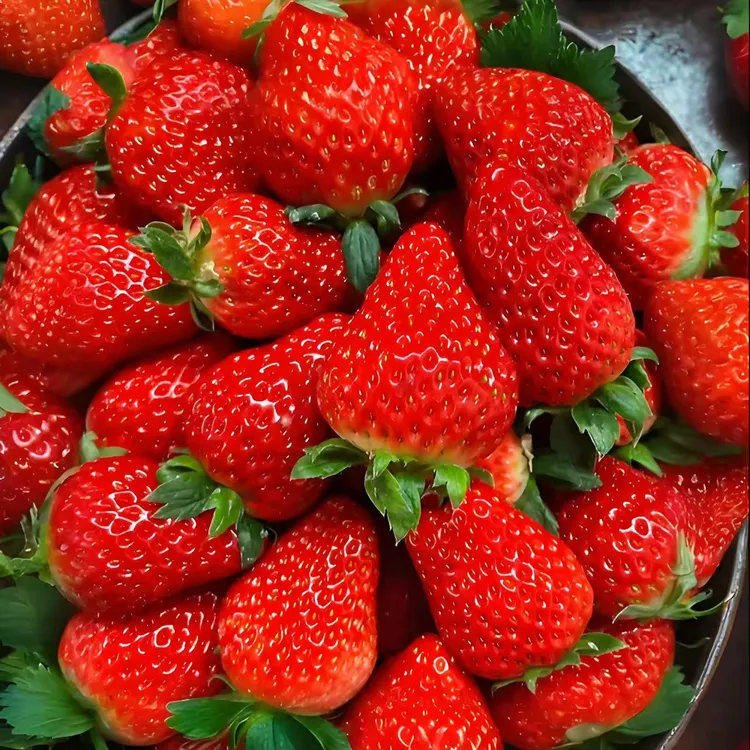 （买二斤送一斤京东生鲜）山东香野奶莓现摘现发果香浓郁九甜一果香