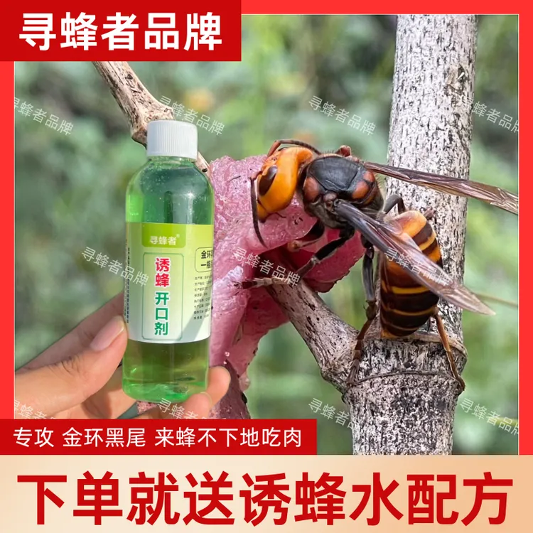 诱蜂开口剂户外找蜂诱蜂水原材料金环虎头蜂下单可领取配方