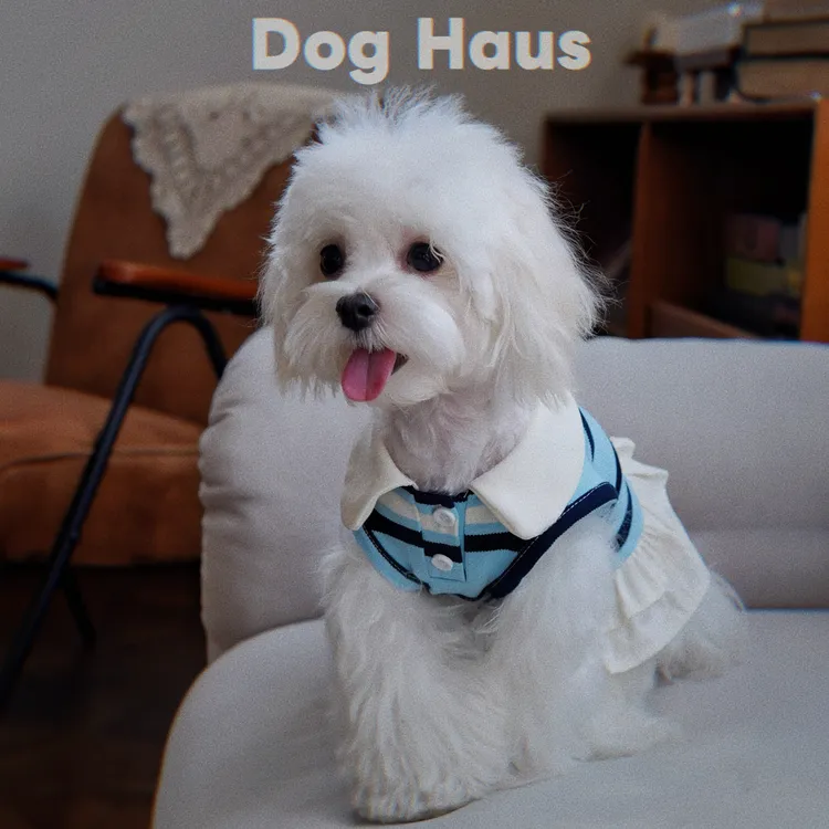 Dog Haus 狗狗2025新款miu系复古条纹polo衫连衣裙小型犬秋季衣服