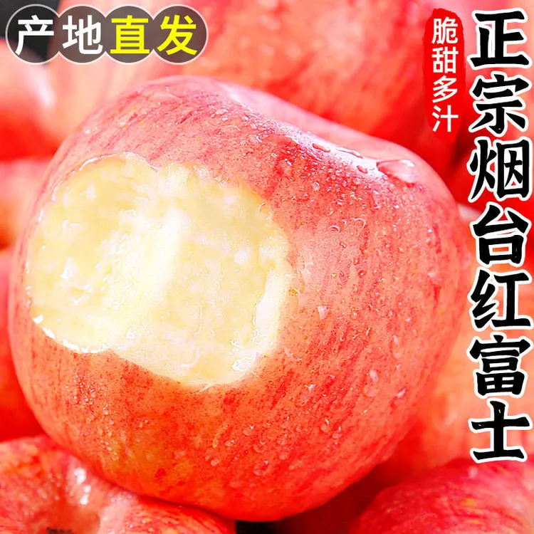 【坏果包赔】山东烟台红富士苹果新鲜红富士苹果水果甜苹果
