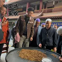 【冬虫夏草】50克 口粮草 实收 2025新干草 自然晒干 品质滋补实拍