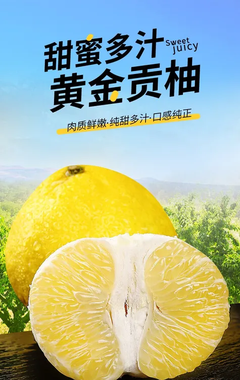 【顺丰包邮】正宗黄金贡柚桔柚纯甜小柚当季水果新鲜清甜柚子包邮