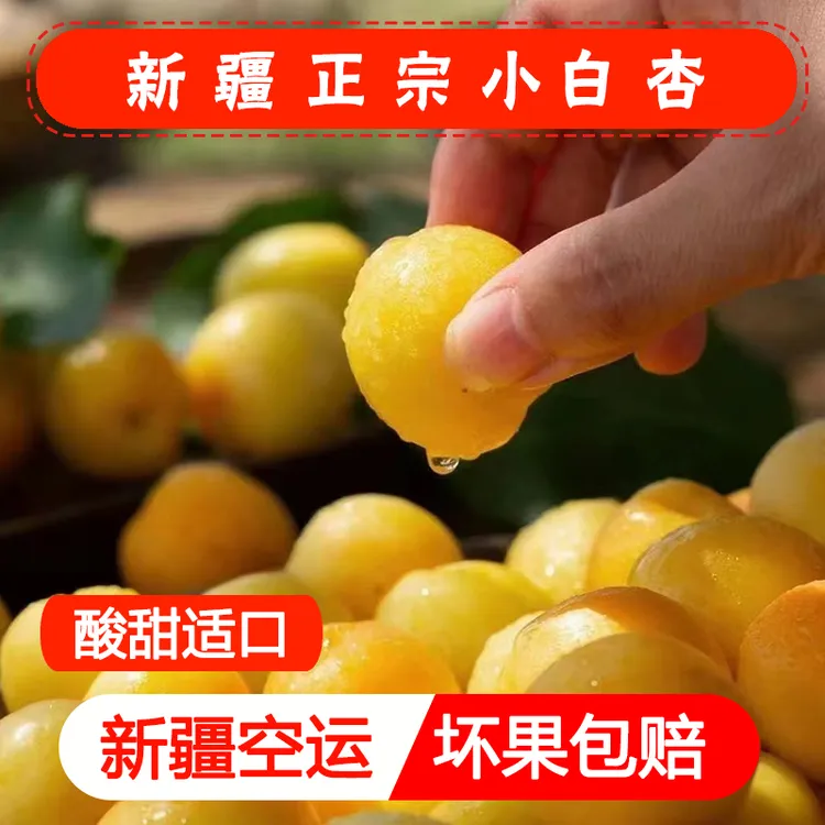 【新疆空运】新疆小白杏新鲜食用饱满鲜嫩汁水多汁正宗优质香甜发货