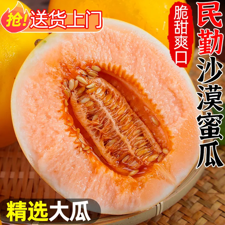 【脆甜爽口】甘肃民勤沙漠蜜瓜金红脆哈密瓜坏果包赔3/6/8斤