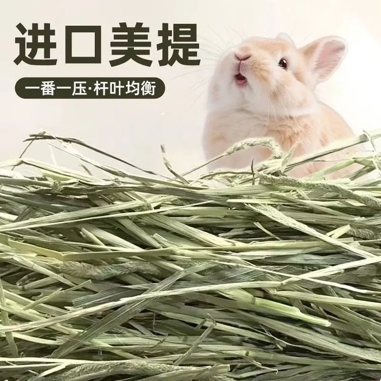2025年晒干提摩西草干草兔子龙猫荷兰猪豚鼠牧草兔粮饲料美提加提