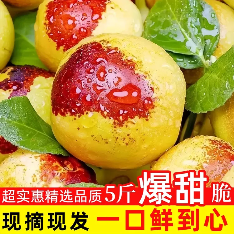 冬枣5斤装新鲜水果头茬现摘脆甜带皮吃孕妇零食果园现发