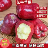【脆粉两吃】正宗花牛苹果香甜可口新鲜当季应季现摘现发
