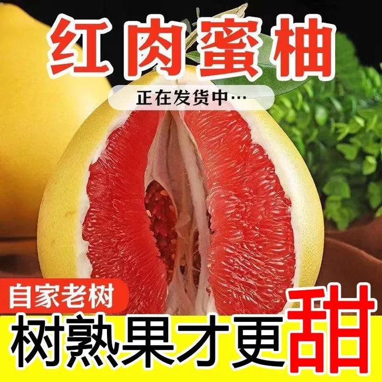 【福利回馈】梅州红心蜜柚三红柚当季新鲜水果清甜多汁皮薄肉厚柚子