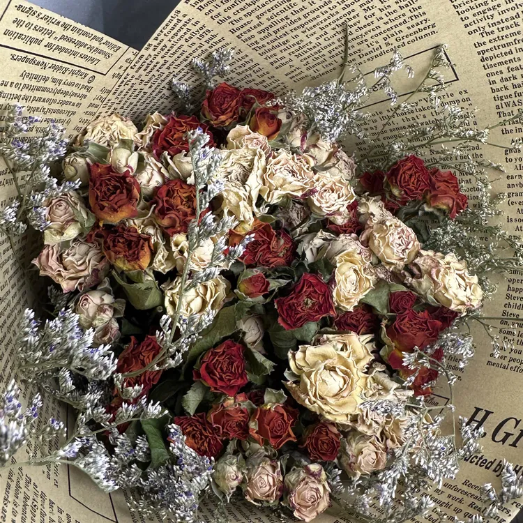 双色多头混搭天然干花花束可任意搭配居家装饰拍照摆件
