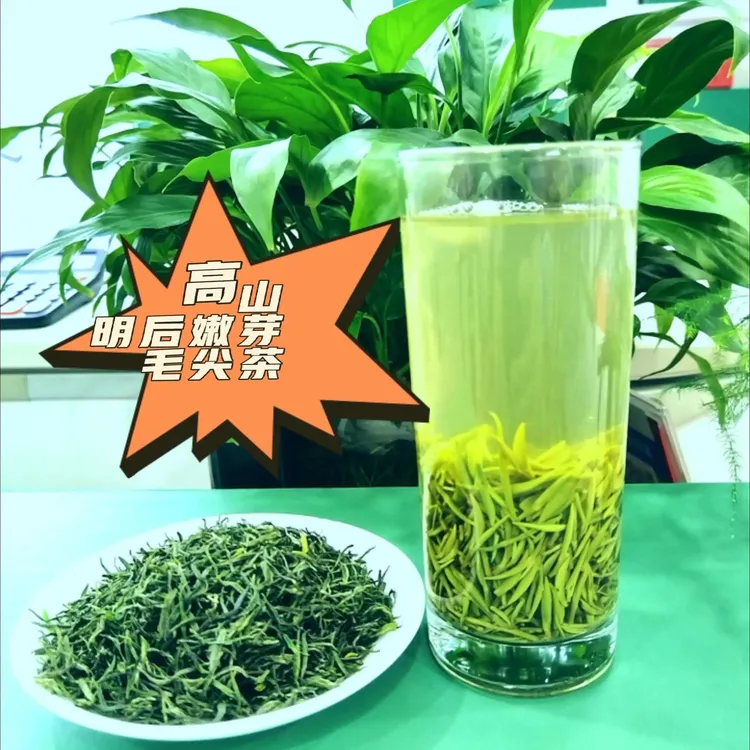 【兰花香嫩芽尖】信阳黑龙潭高山嫩芽浓香扑鼻滋味鲜爽回甘醇香毛尖