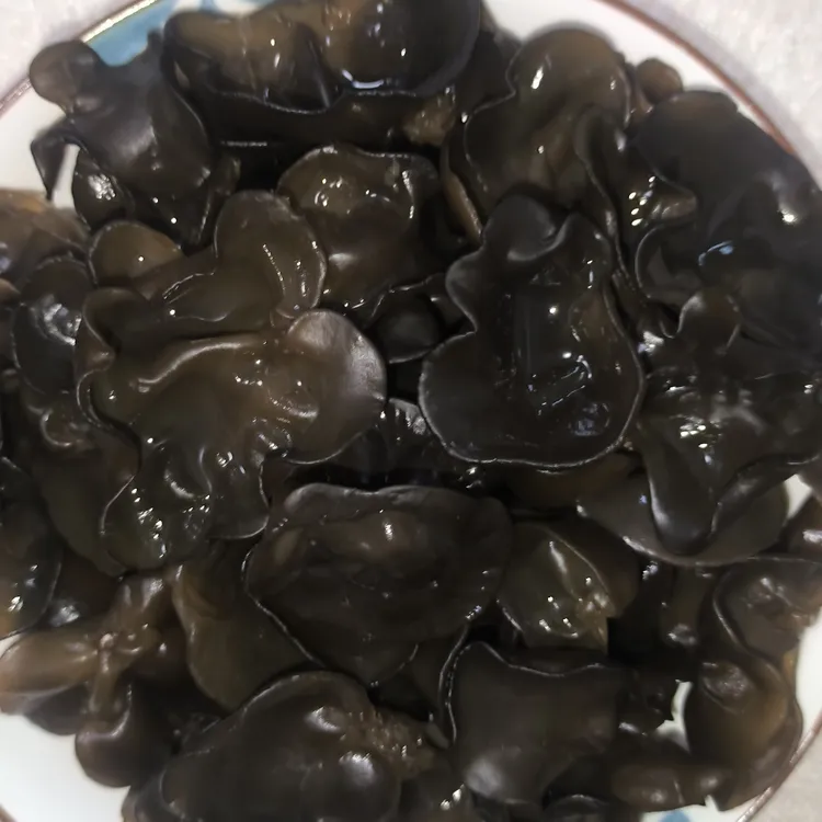 长白山早秋木耳黑木耳新品上市无根肉厚干货土特产