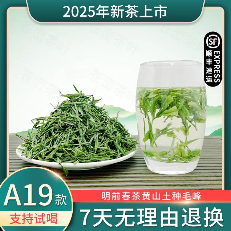 2025新茶正宗黄山土种毛峰A19款明前茶浓香耐泡罐装好茶茶叶