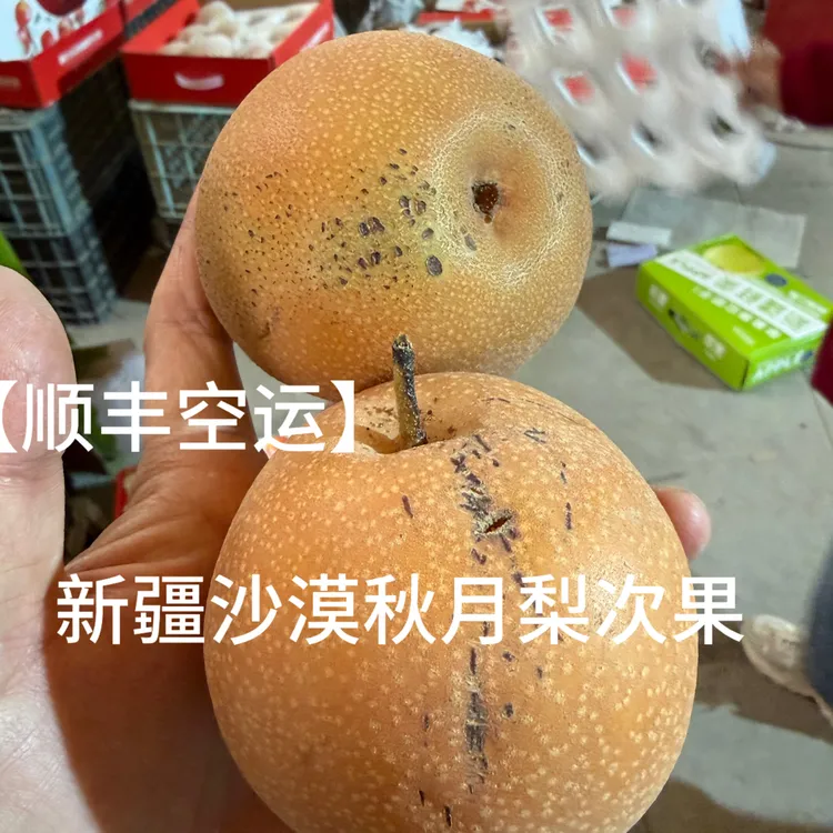 【顺丰空运】新疆沙漠秋月梨次果