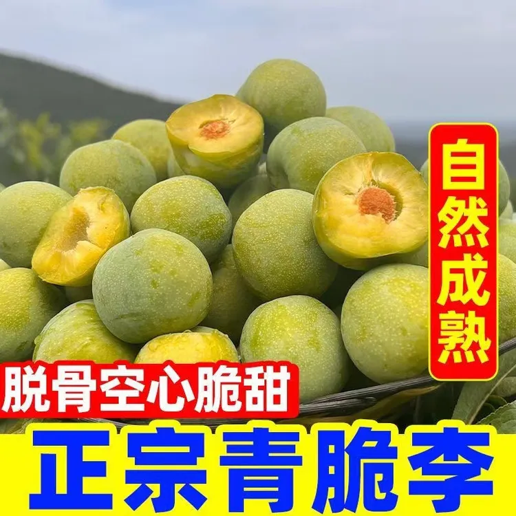 汶川青脆李 超级大果王  45g 已上  5斤装 精选装 