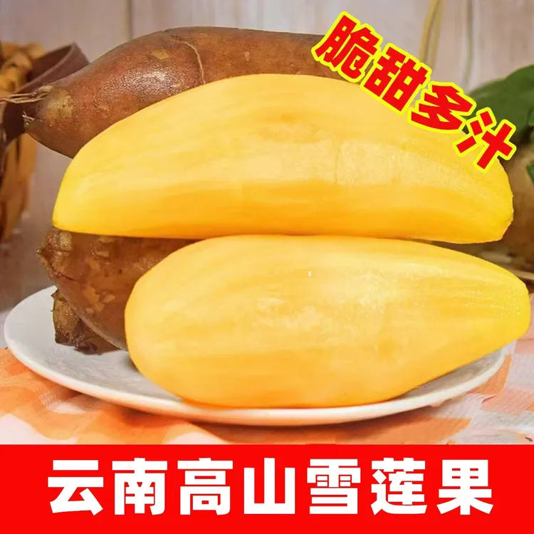 【低糖】雪莲果云南高山种植清脆清甜爽口多汁坏果包赔3/5/9斤包邮