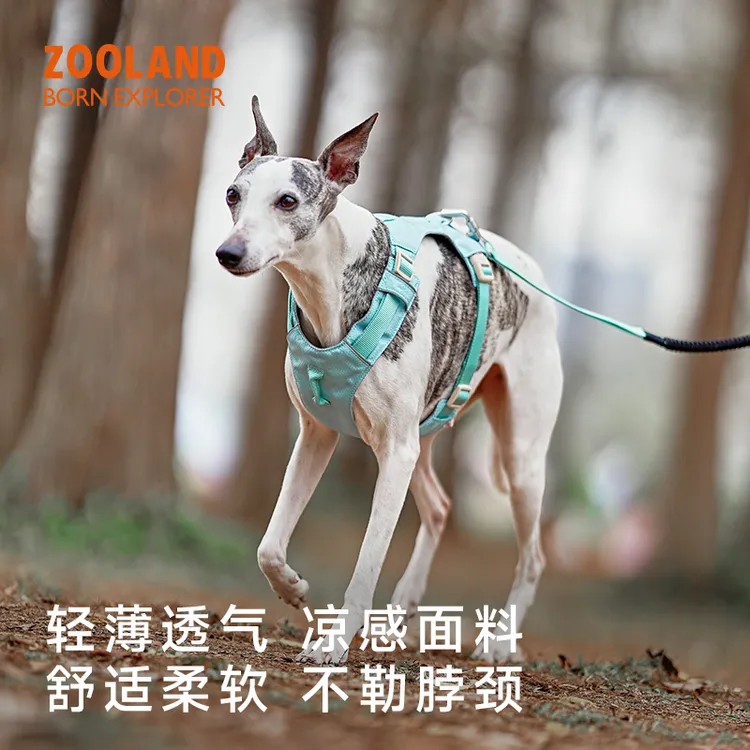 ZOOLAND狗狗胸背牵引绳遛幼小中大型犬泰迪柯基比熊边牧博美链子