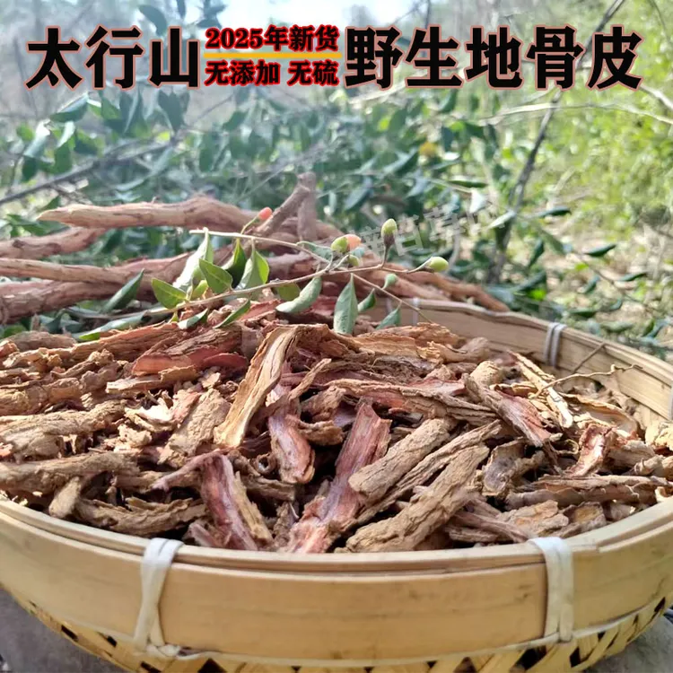 野生地骨皮河南太行山新鲜枸杞根皮晒干新货无硫非宁夏种植