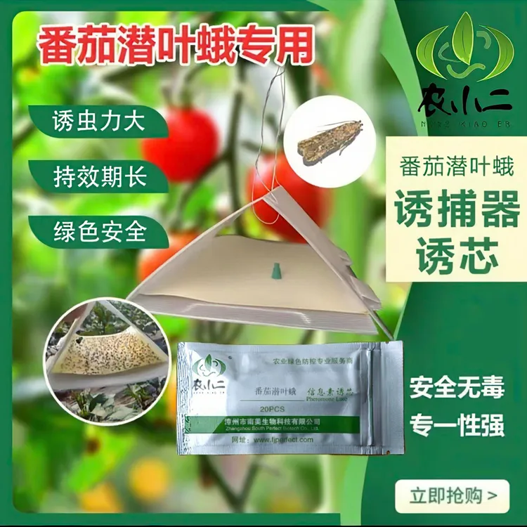 农小二番茄潜叶蛾诱捕器诱芯信息素三角形粘虫西红柿专用防虫神器