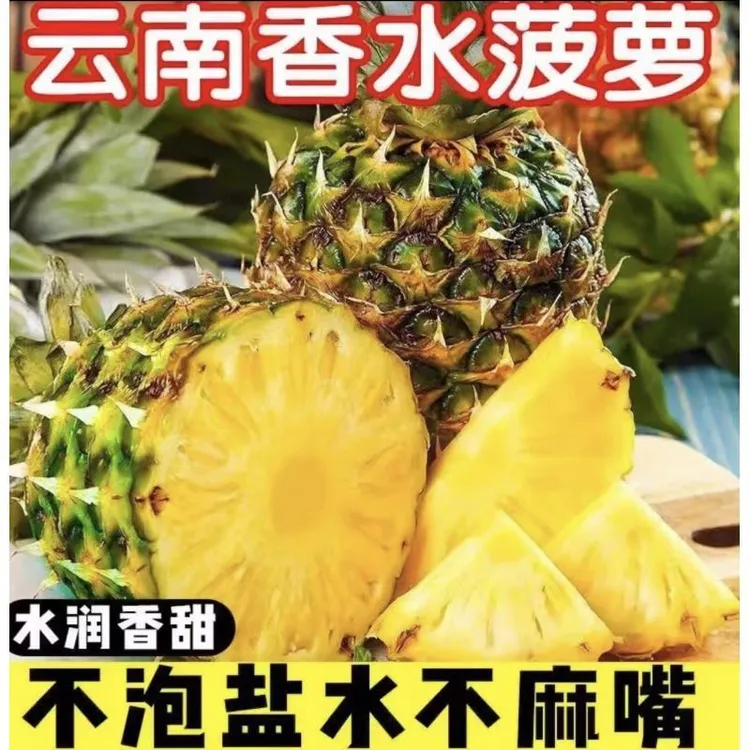 云南金菠萝（黑钻凤梨）树上自熟香甜可口