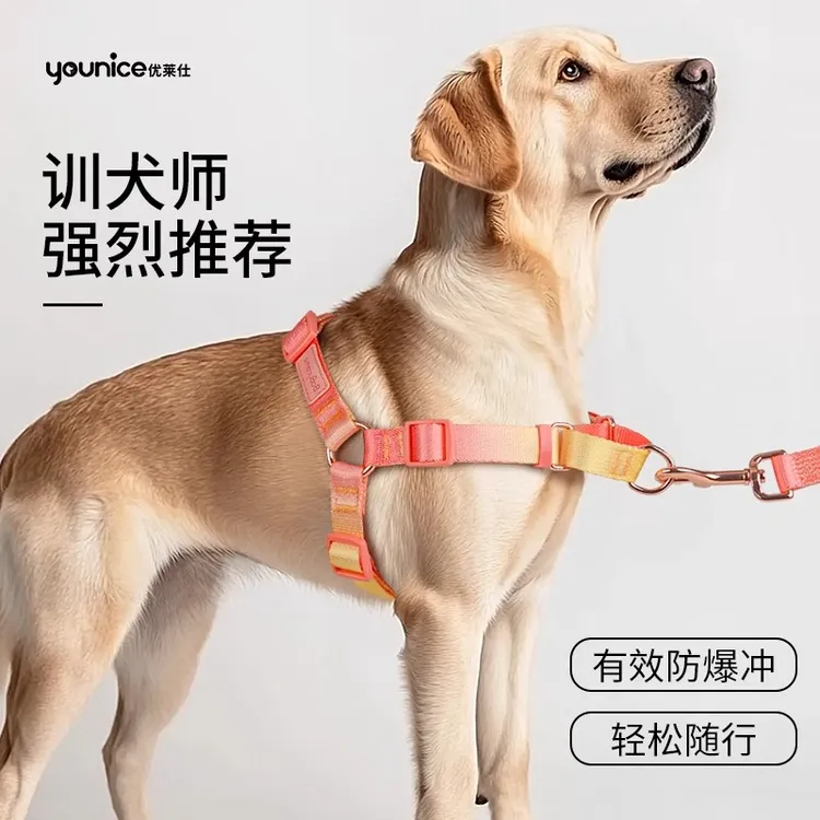 宠物狗狗胸背带柔软舒适耐用小型犬遛狗便捷胸背防爆冲训狗牵引绳