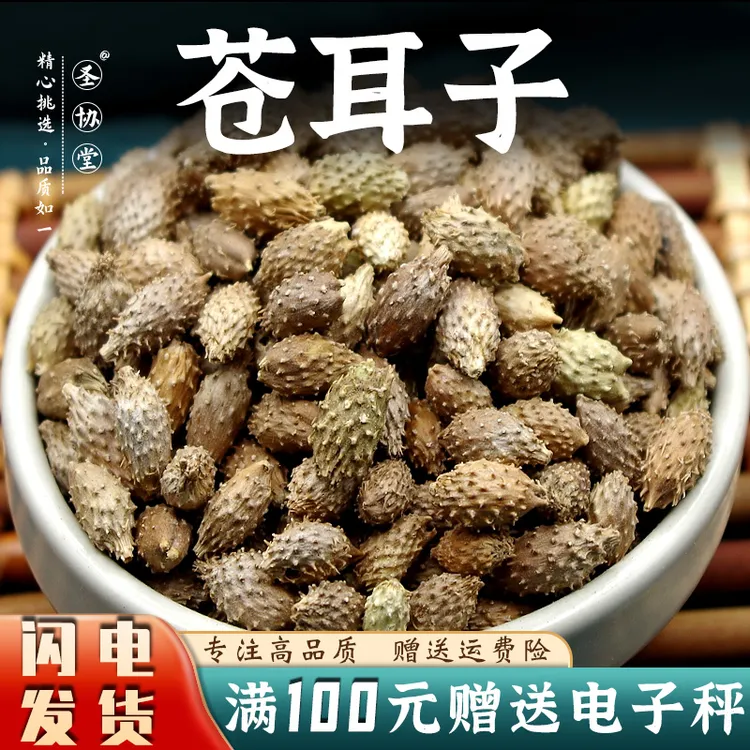 苍耳子中药材250/500g 去刺苍耳子 仓耳泡茶 官方正品
