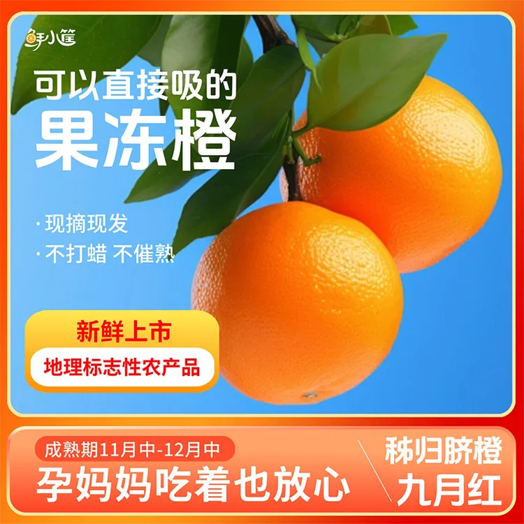 【果农自己卖】正宗湖北秭归九月红脐橙新鲜水果现摘现发爆甜多汁