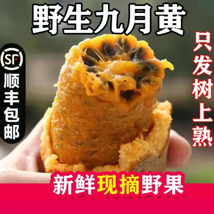 【顺丰包邮】福建九月黄野果拿藤包现摘牛卵坨哈软新鲜水果麻藤包