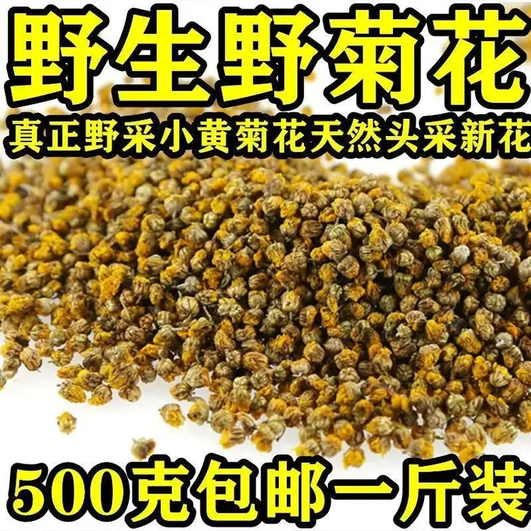 野菊花茶野菊花正宗野生干野菊花胎菊苦小葱米菊野菊花材50克