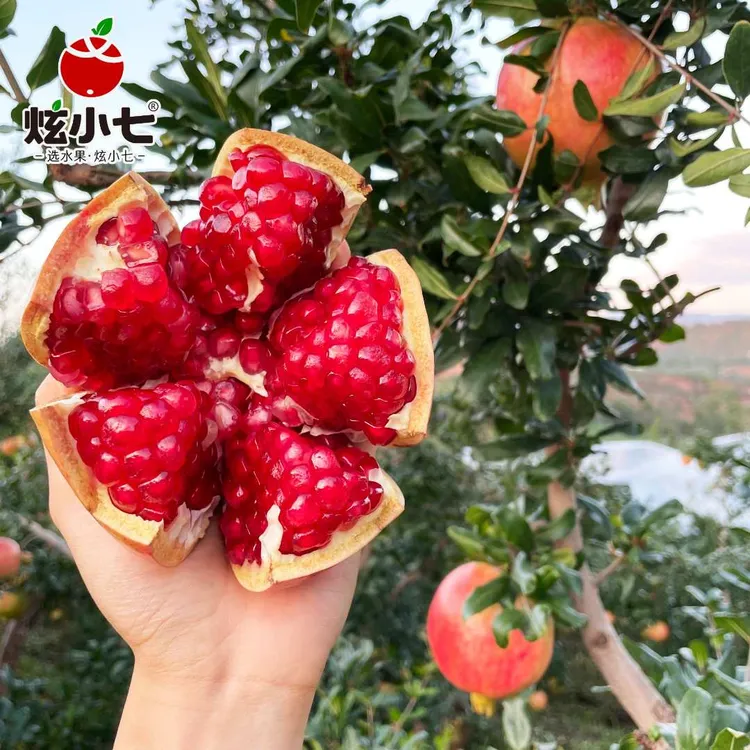 炫小七四川会理突尼斯软籽石榴新鲜当季香甜皮薄多汁清甜食用饱满