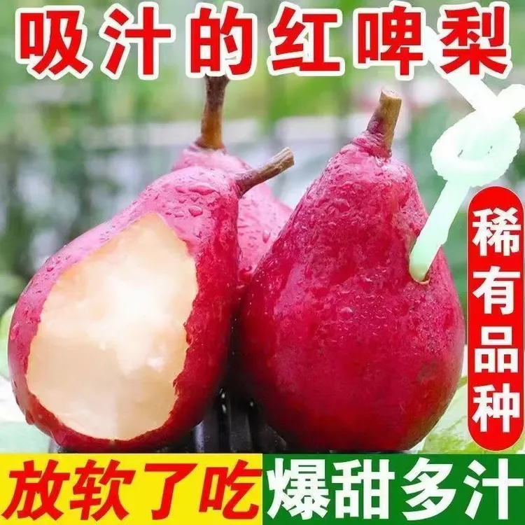 正宗新鲜红啤梨产地直发现摘放软吃香甜水果