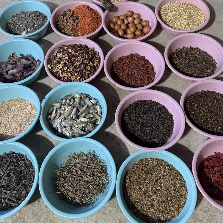 斗鸡调理型打料增爆发力耐力补气血