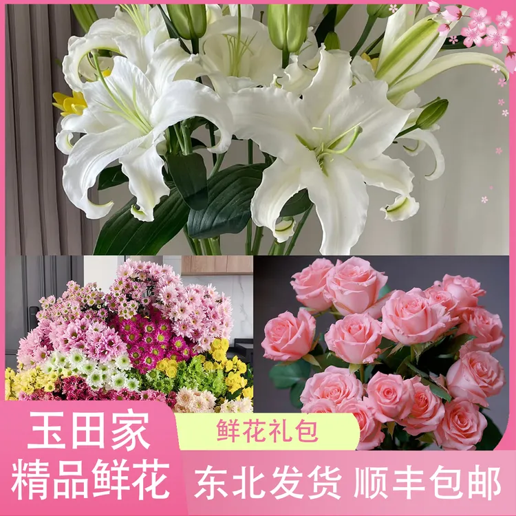 粉丝福利鲜花组合（居家办公优选）《东北基地发货》