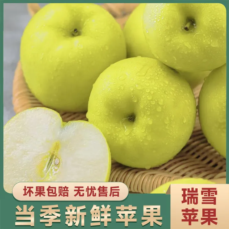 2025陕西白水瑞雪70-75mm苹果脆甜多汁皮薄新鲜产地直发【一级果】