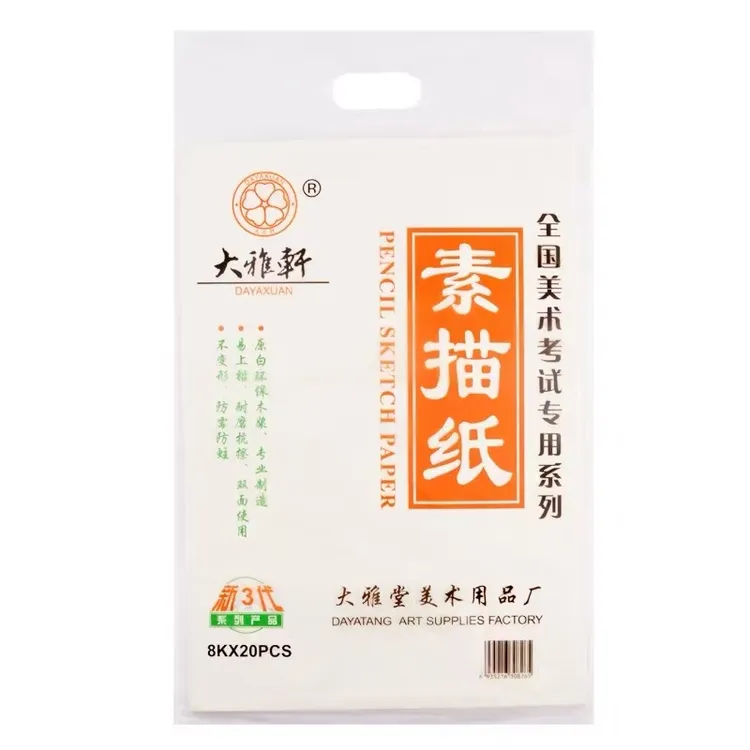 大雅轩8KX20PCS素描纸20张手提160g8K