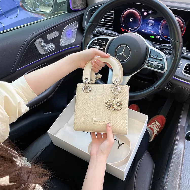 SKTSTY洋气小众蛇纹戴妃包包女2025春季新款高级感上班小包包女款