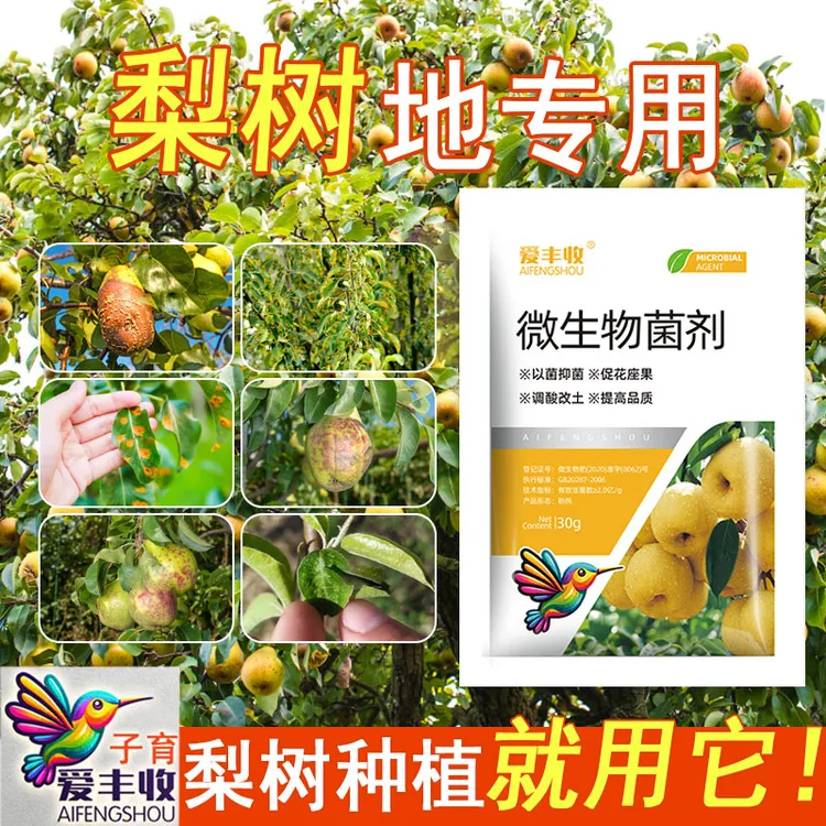 爱丰收梨树地专用微生物菌剂梨树专用微生物农用酥梨微生物肥料商品图