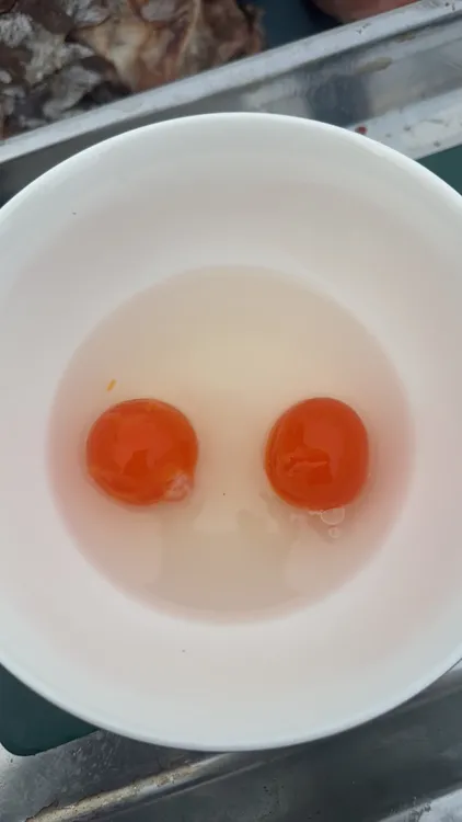 信阳特色咸鸭30个