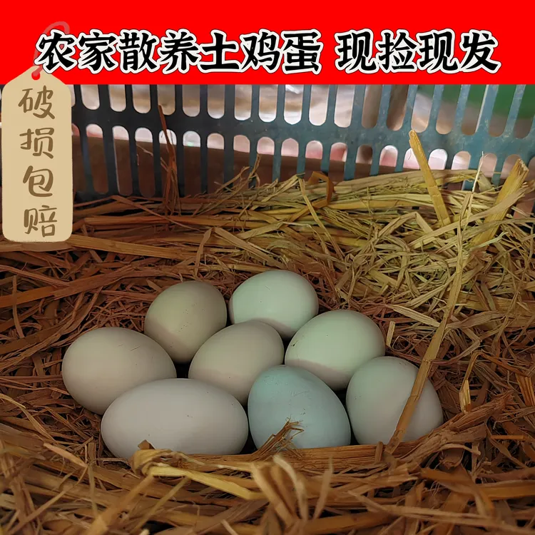 农家生态散养绿壳土鸡蛋鲜蛋现捡现发30枚